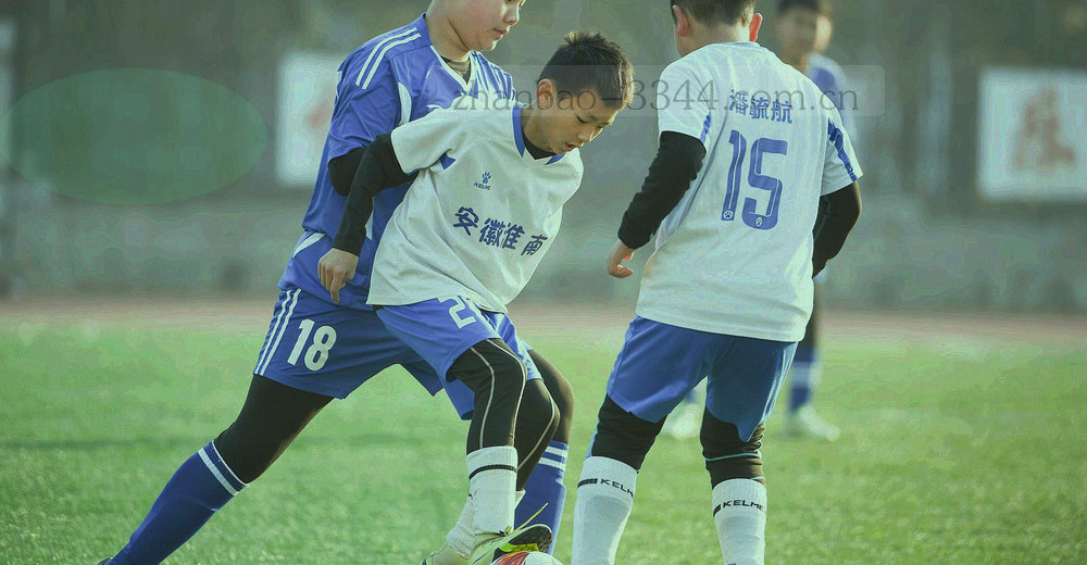 环形进度条纹依次表示收录、校对、归档三个环节